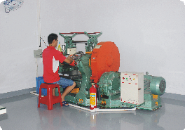 Silicone section