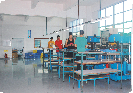 Silicone section