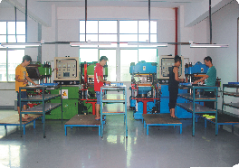 Silicone section